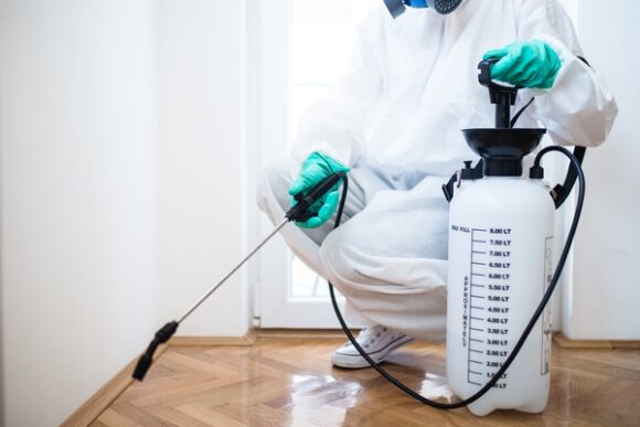Exterminator